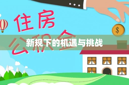 朗县新规下的机遇与挑战