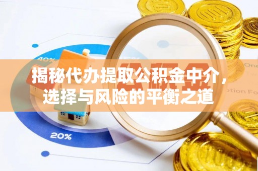 朗县揭秘代办提取公积金中介，选择与风险的平衡之道
