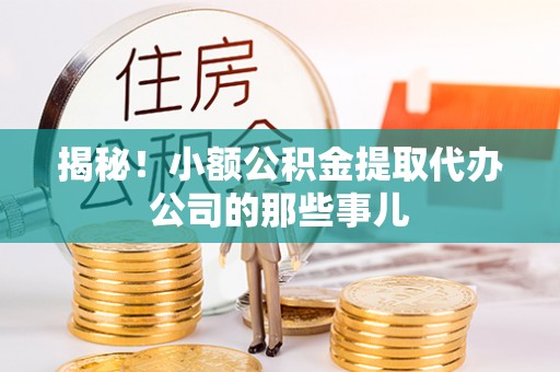 朗县揭秘！小额公积金提取代办公司的那些事儿